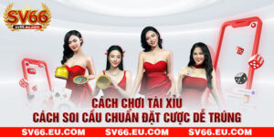 Cách Chơi Tài Xỉu - Cách Soi Cầu Chuẩn Đặt Cược Dễ Trúng
